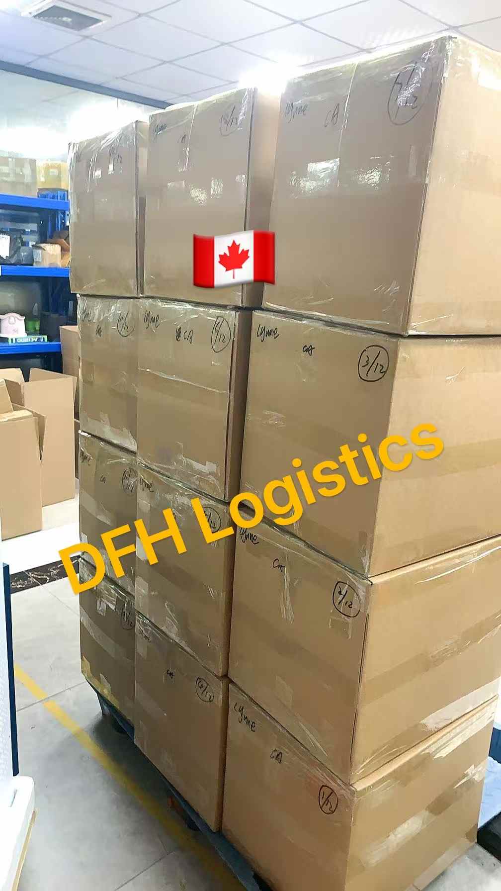 Shrink-wrapped pallet built for safe long-haul transit