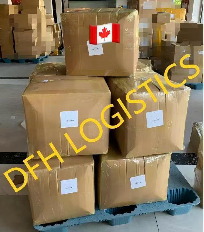 Cartons palletised and flagged for Canada before departure
